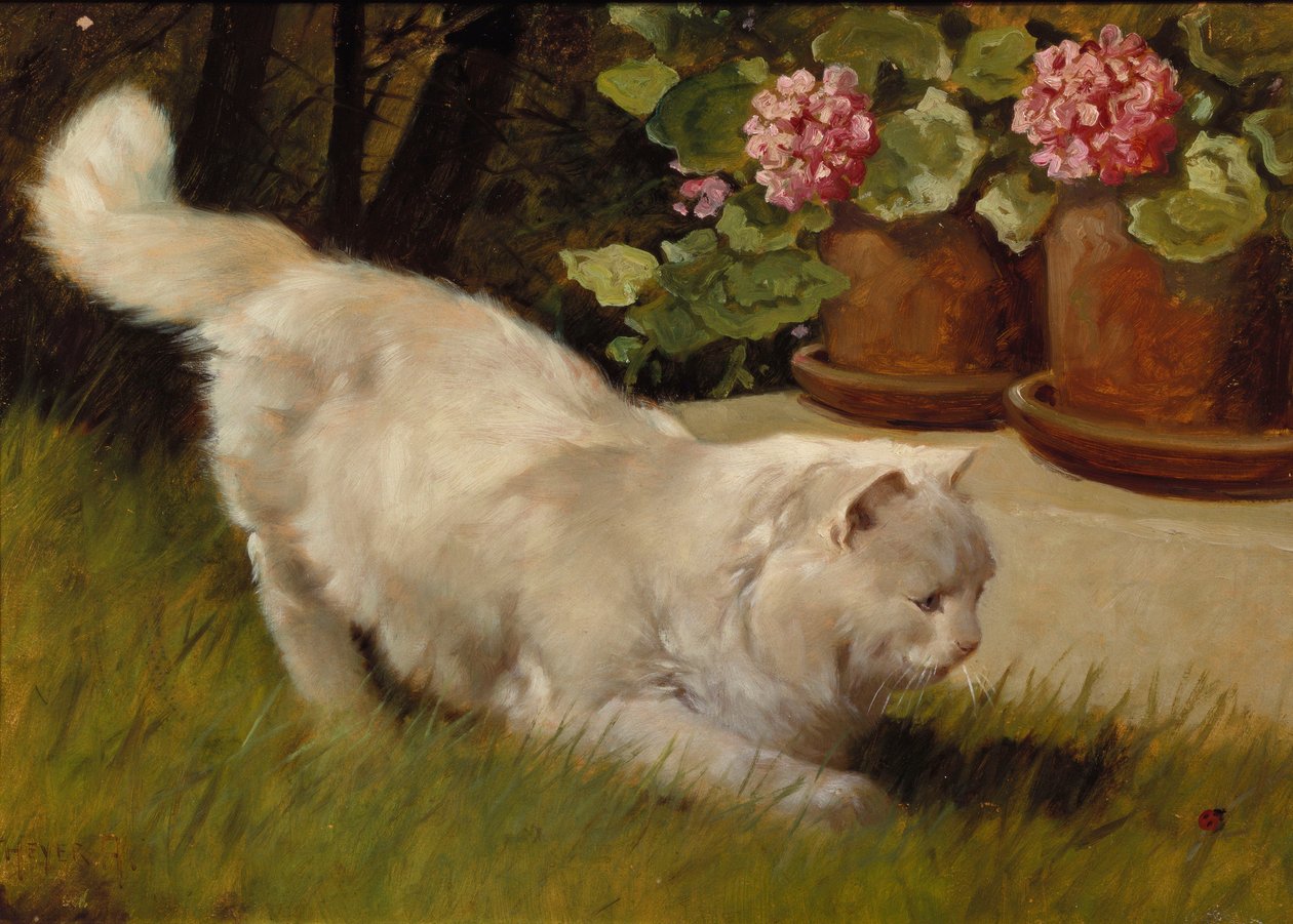 Uğur Böceği ile Beyaz İran Kedisi (gemide yağ) by Arthur Heyer