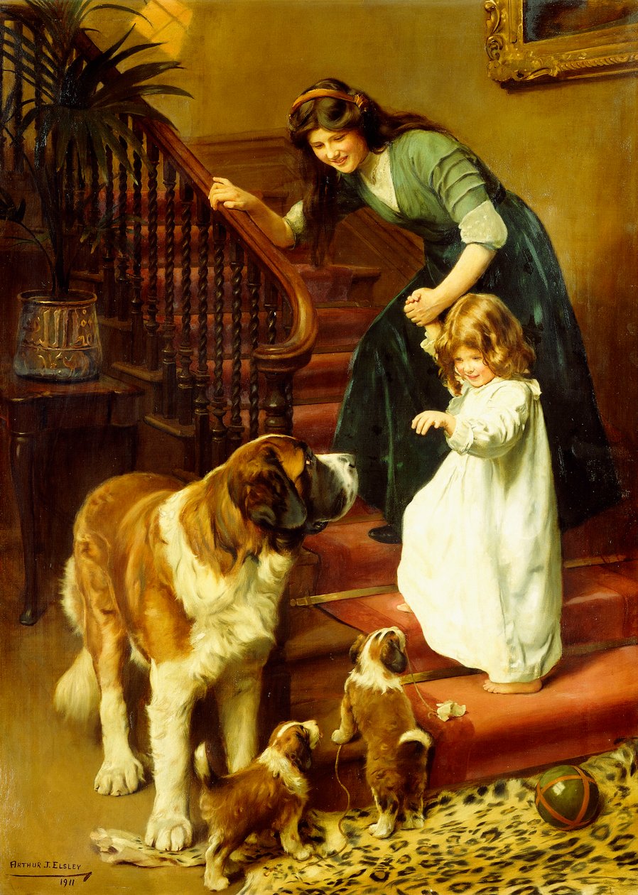 iyi geceler by Arthur John Elsley