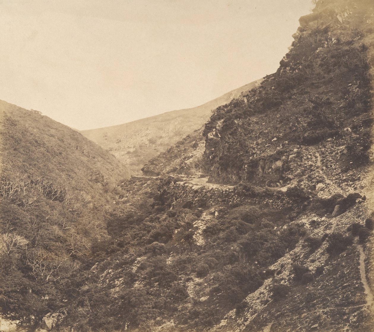 Watersmeet Yolunda, Lynton yakınlarında, Kuzey Devon, 1856. by Arthur Julius Pollock