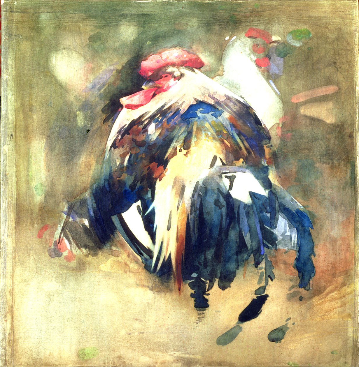 Horoz (keten üzerinde wc) by Arthur Melville