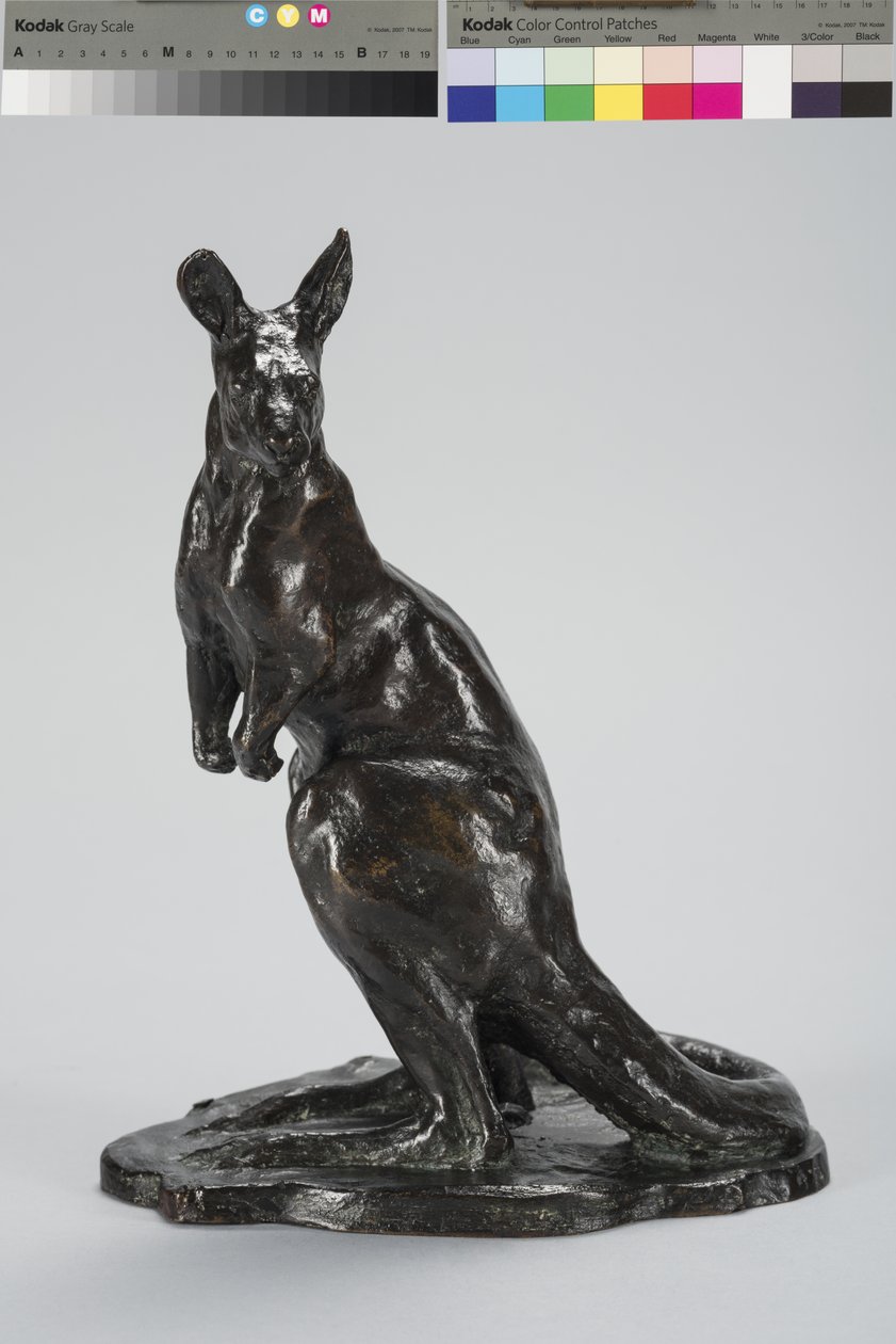 Kanguru (bronz) by Arthur Putnam