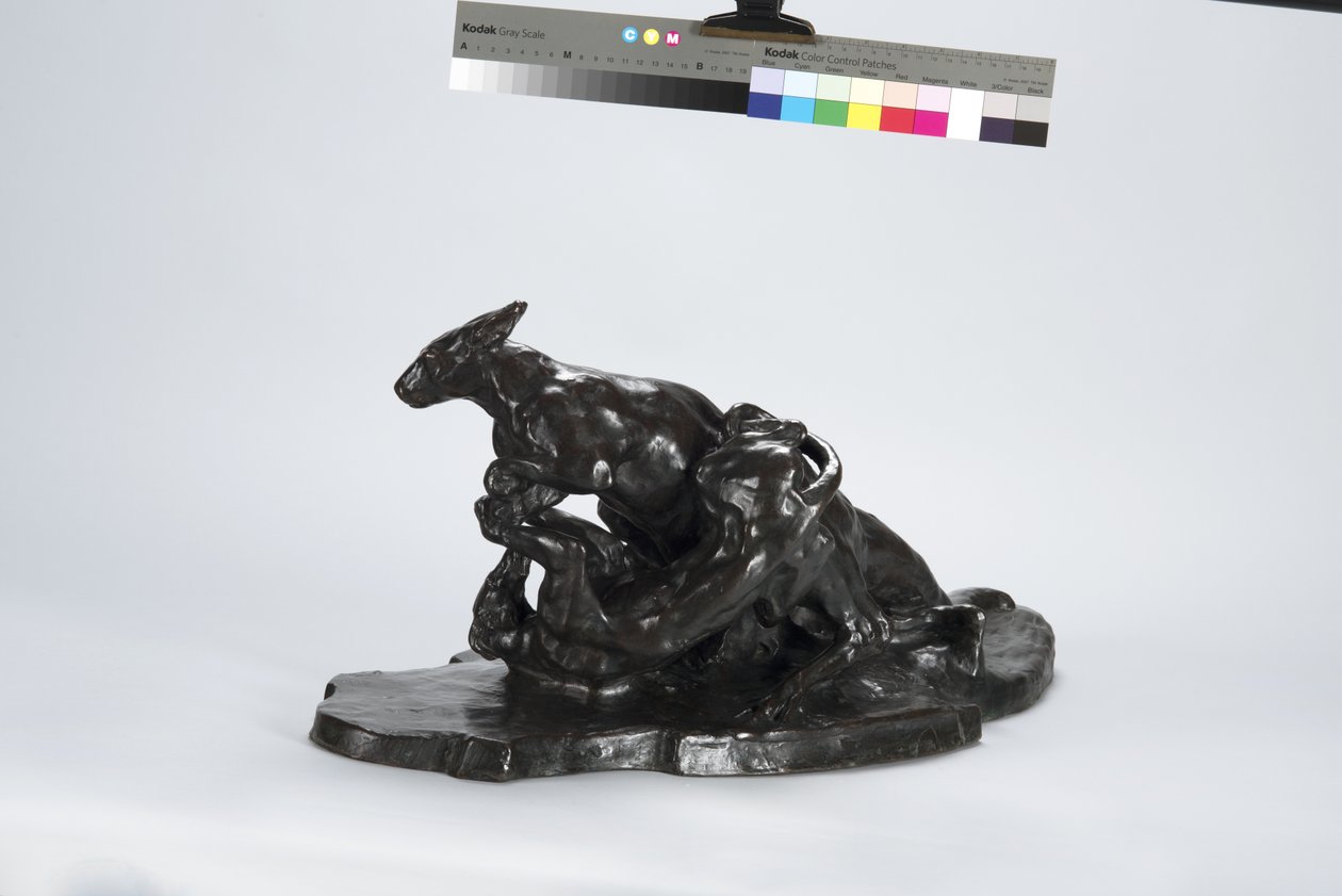 kanguru ve köpek by Arthur Putnam