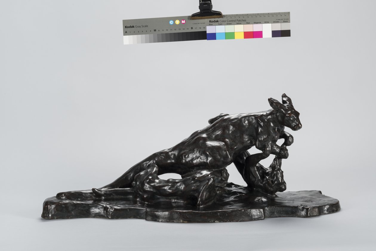kanguru ve köpek by Arthur Putnam