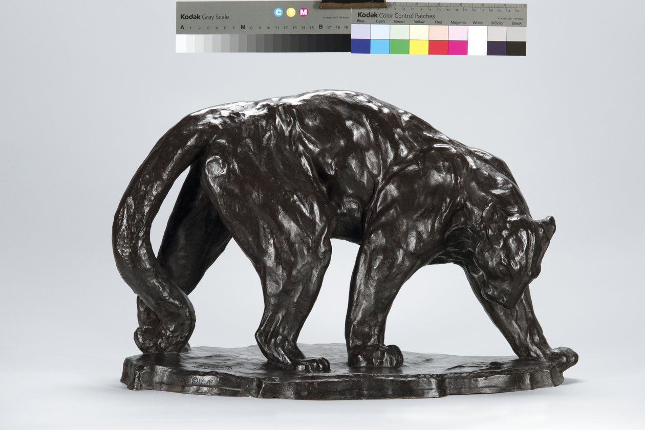 Büyük Puma Kokulu Öküz Pisti by Arthur Putnam