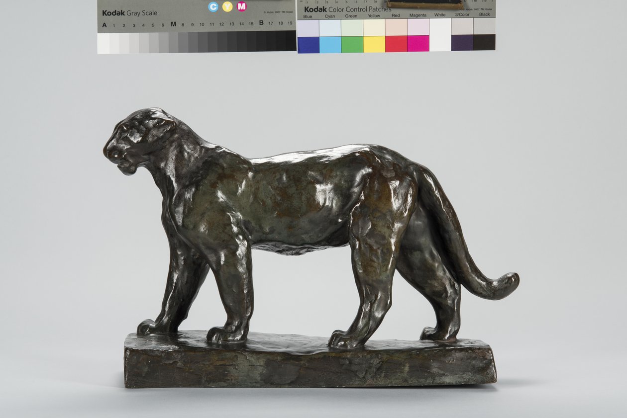 leopar yürüyüş by Arthur Putnam