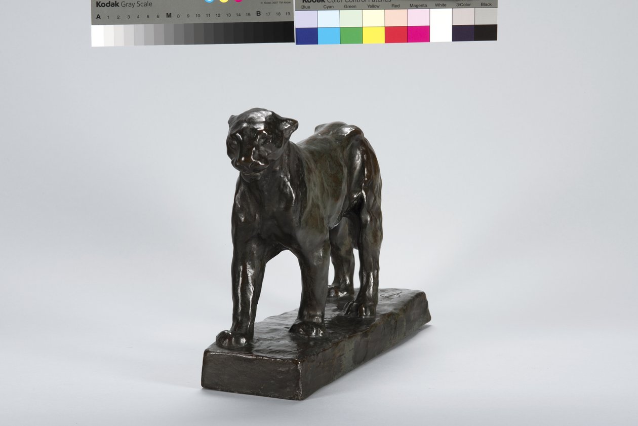 leopar yürüyüş by Arthur Putnam
