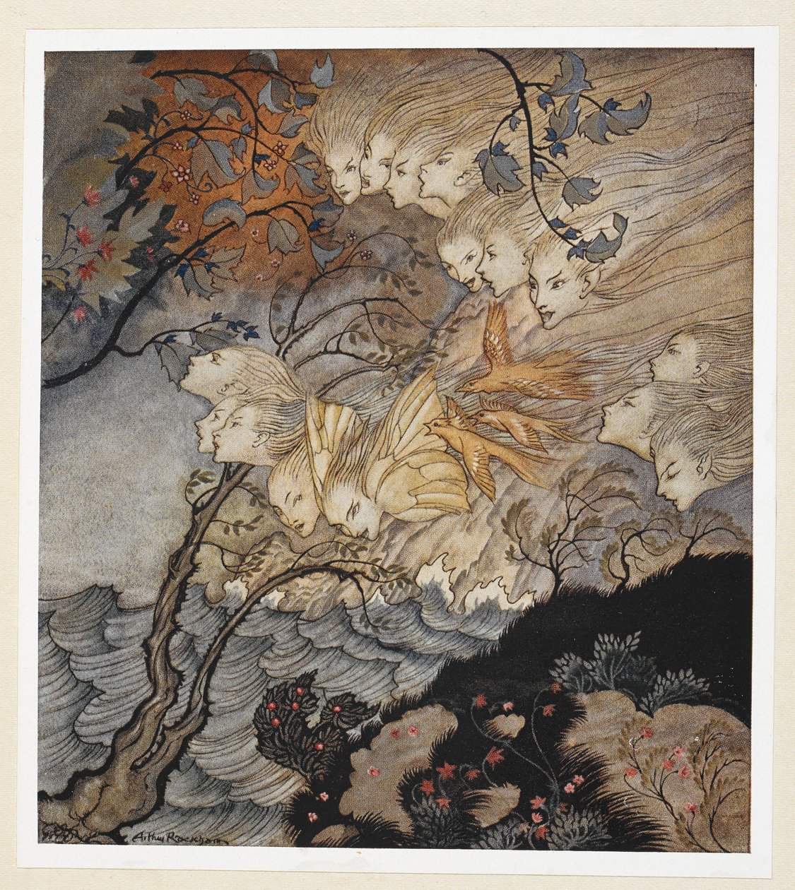 ACT III: Sahne II, satır 147 ... ve bazen bir ses by Arthur Rackham