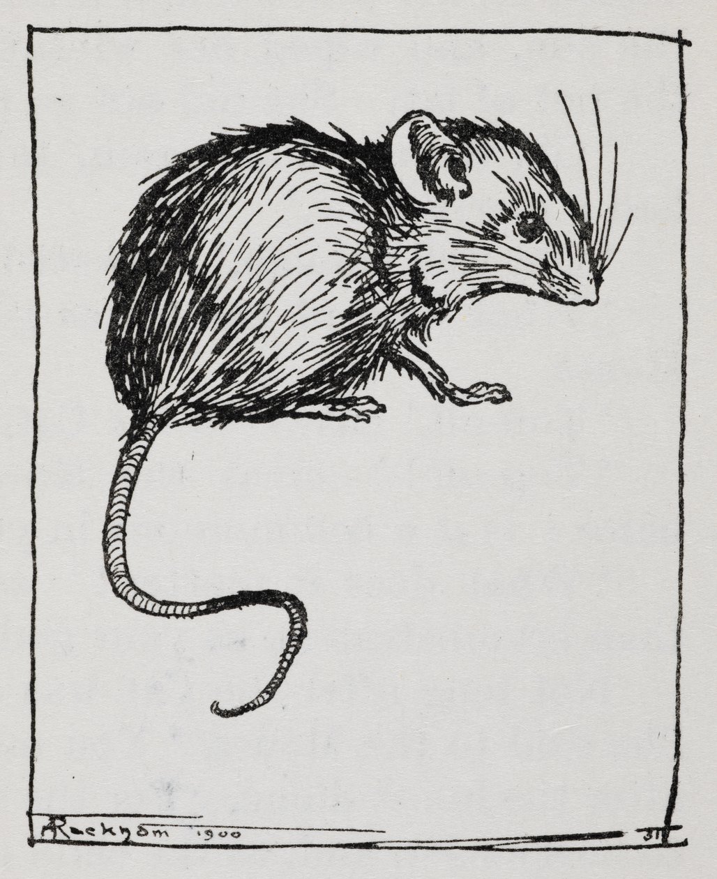 Bir fare by Arthur Rackham