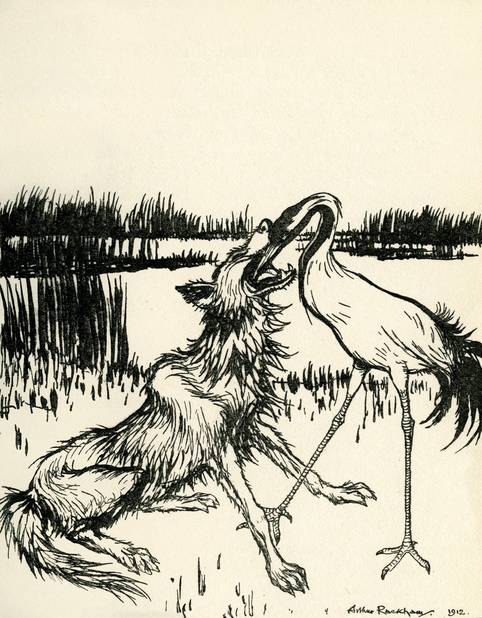 aesop
