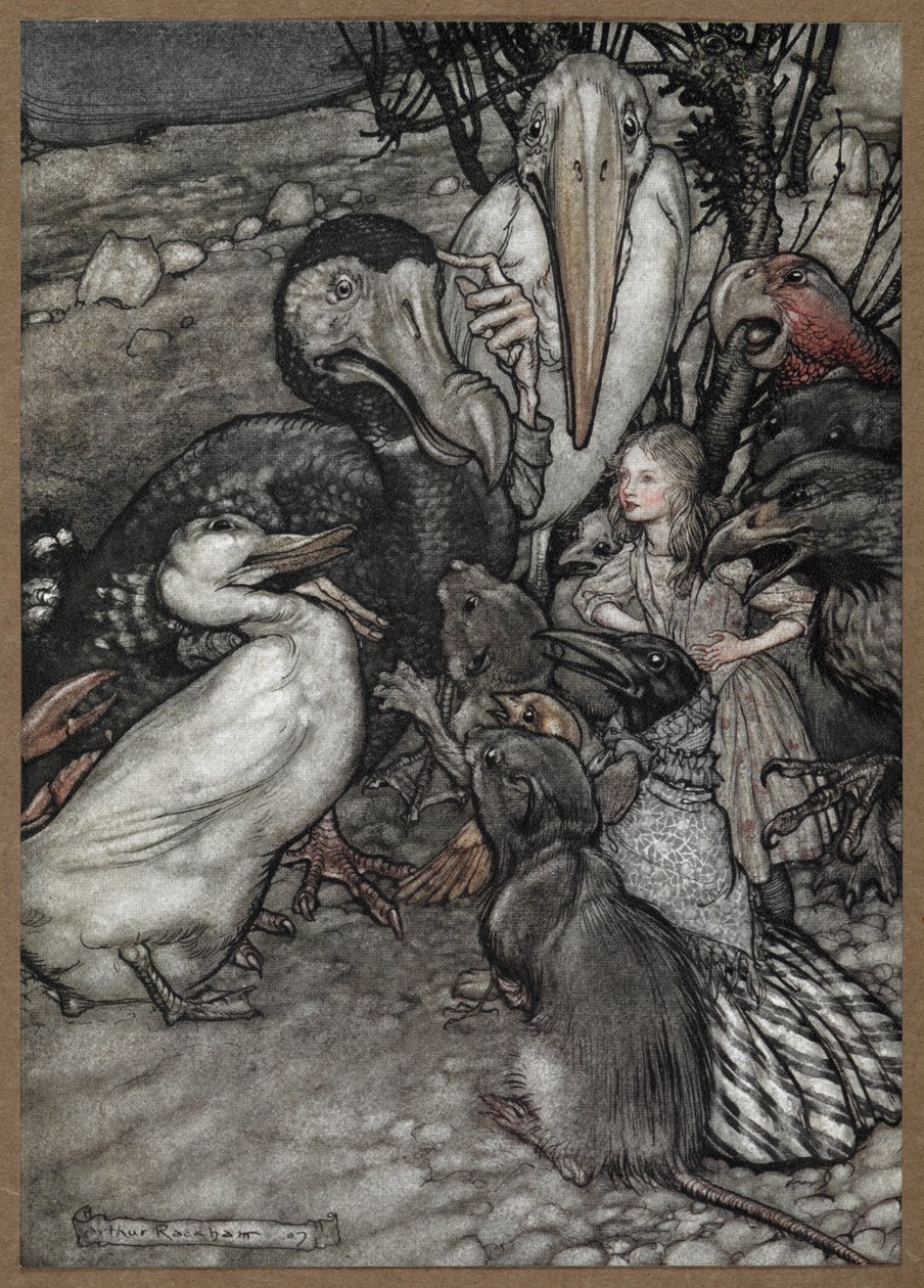 Alice ve bir dodo, bir ördek, bir sıçan, bir karga ve bir papağan da dahil olmak üzere Parti Meclisi Yarışından sonraki hayvanlar. by Arthur Rackham