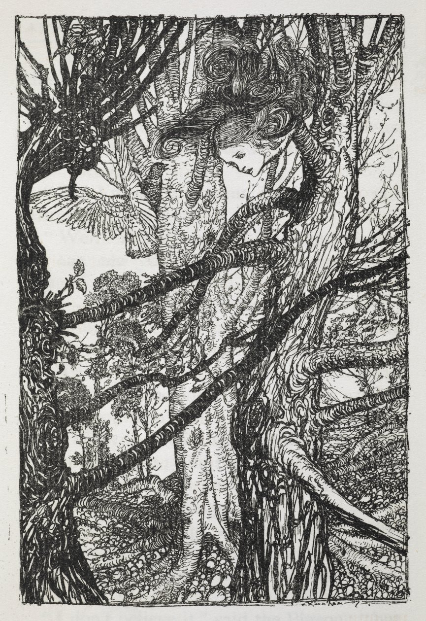 Güvercinle konuşan bir yılan olarak Alice by Arthur Rackham