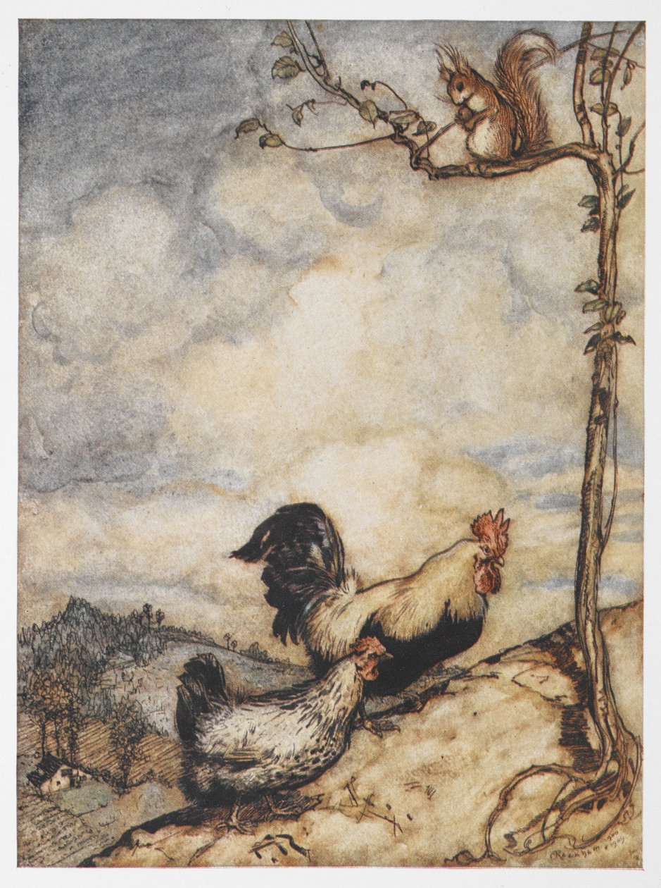 The Adventures of Chanticleer and Partlet'ten bir tavuk, horoz ve sincap çizimi. by Arthur Rackham