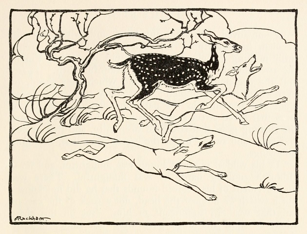 İrlanda Masallarında The Wooing of Becfola