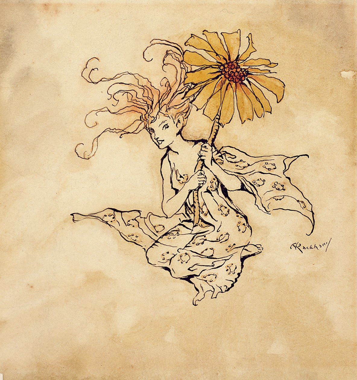 Daisy Fairy, Kensington Bahçeleri