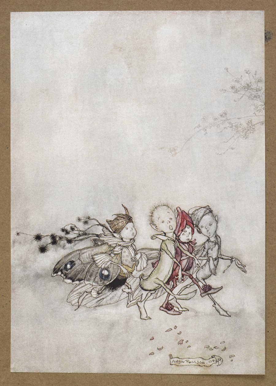 Barış Çiçeği, Örümcek Ağı, Güve ve Hardal Tohumu'na girin. Bir Yaz Gecesi Rüyası'ndan bir sahne. by Arthur Rackham