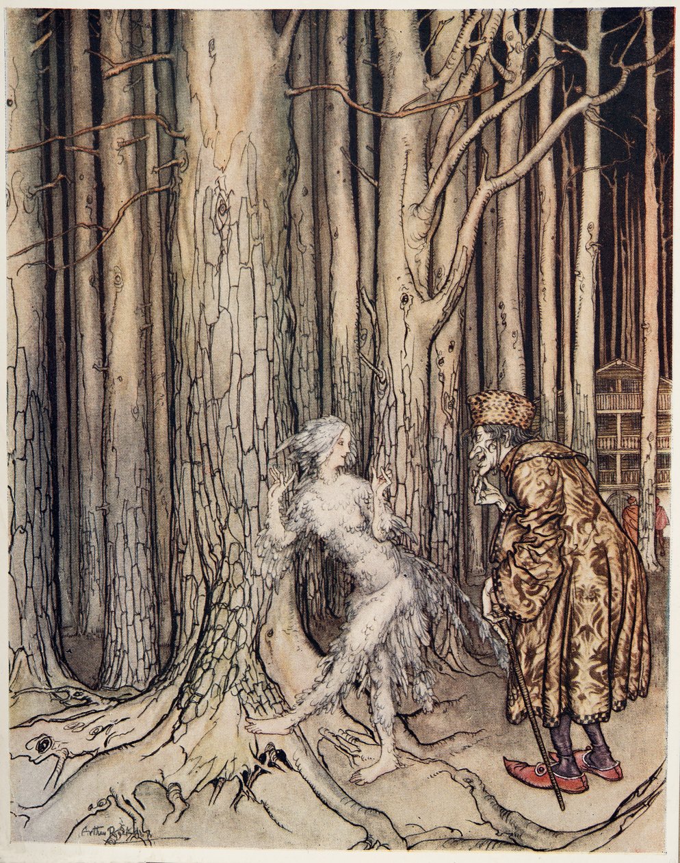 Fitchers Bird, Little Brother & Little Sister'dan ve Grimm Kardeşler tarafından yazılan Diğer Öyküler, pub.1917 by Arthur Rackham