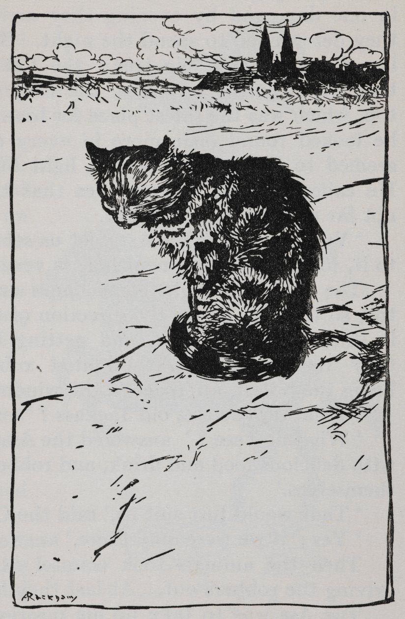 Bremen Mızıkacıları'ndan bir kedi resmi. by Arthur Rackham