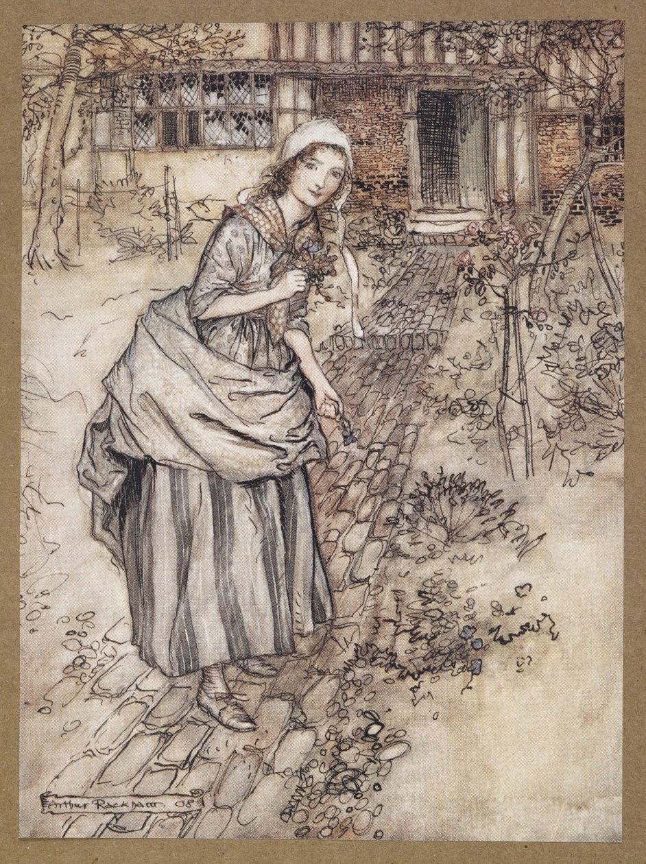 Bakireler buna aylaklık içinde aşk derler. Bir Yaz Gecesi Rüyası'ndan bir sahne. by Arthur Rackham