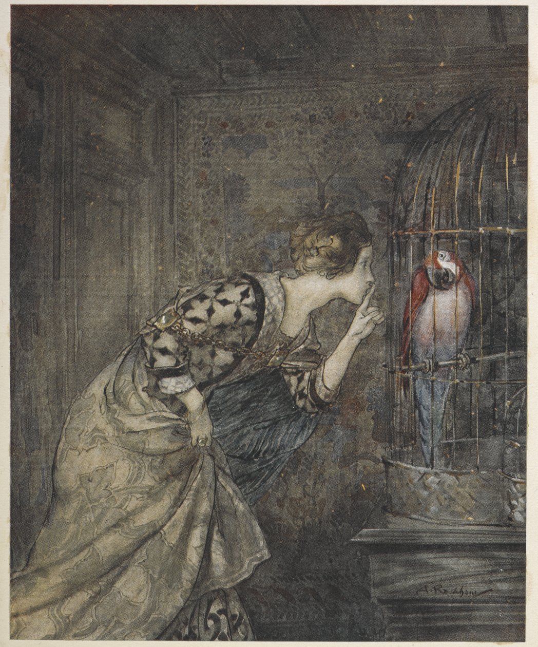 May Colvin ve kafeste bir papağan. by Arthur Rackham