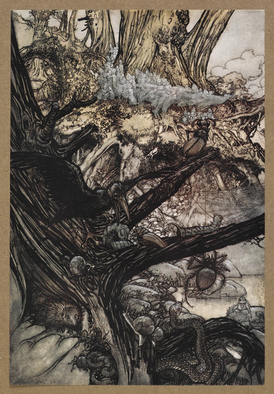 Asla zarar verme, büyü yapma, büyü yapma, sevgili hanımefendi yakına gel'. Bir Yaz Gecesi Rüyası'ndan bir sahne. by Arthur Rackham