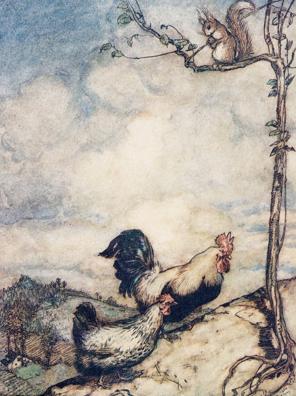 Şimdi tepeye çıkacağız ve sincap tüm fındıkları alıp götürmeden önce güzel bir ziyafet çekeceğiz.., Grimm Kardeşlerin Masalları, pub. 1909 by Arthur Rackham