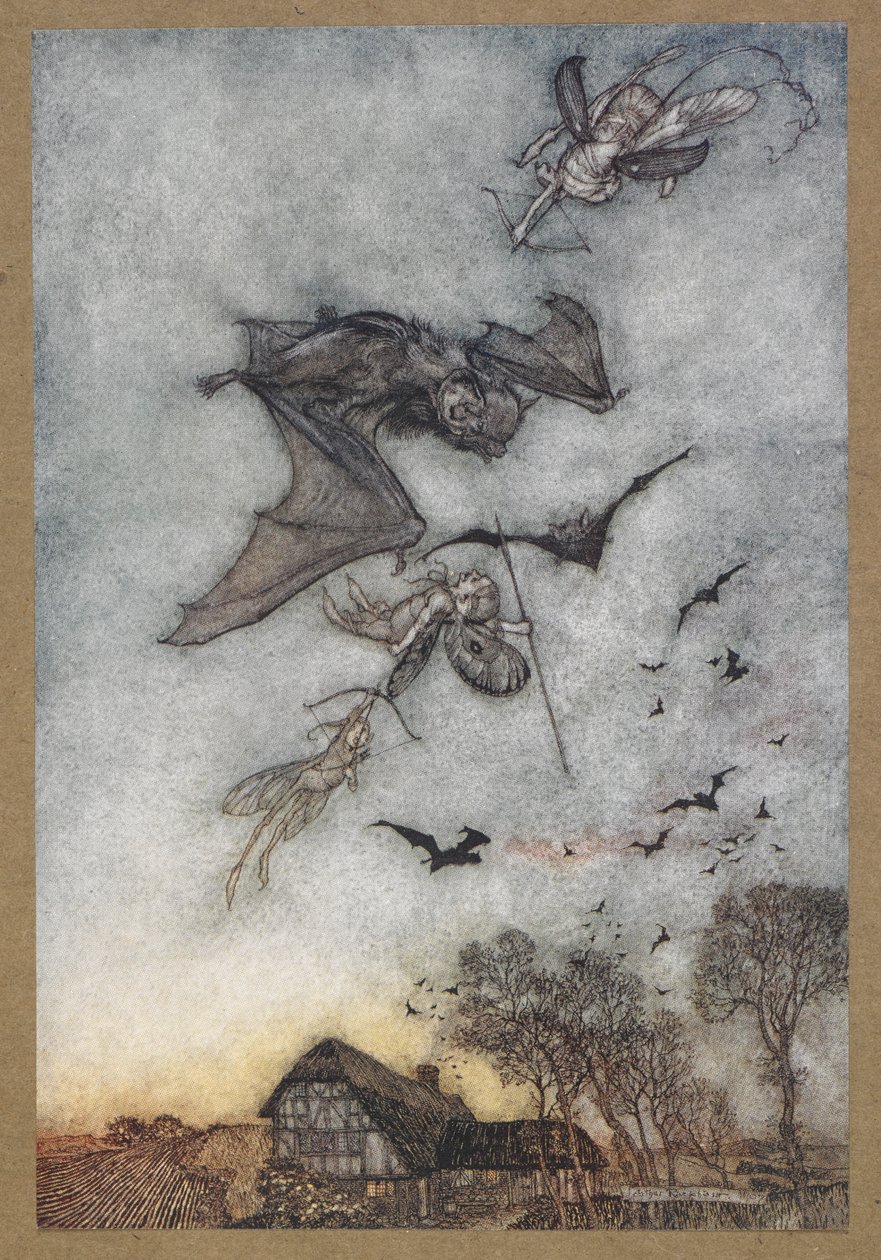 Bazıları deri kanatları için farelerle savaşır. Bir Yaz Gecesi Rüyası'ndan bir sahne. by Arthur Rackham