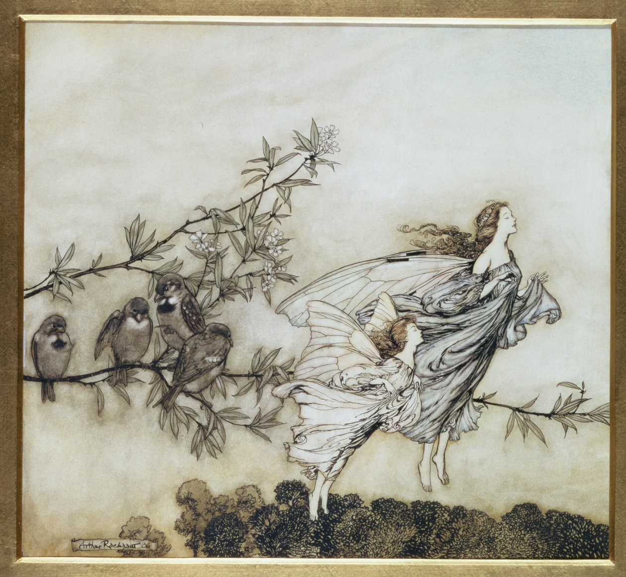 Periler Tiff with the Birds, 1906 yılında Peter Pan için Kensington Gardens