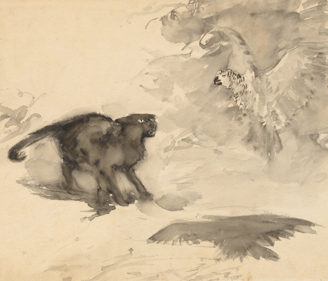 Papağan ve Kedi (Eleanor Gates tarafından "İyi Geceler" için eskiz) by Arthur Rackham