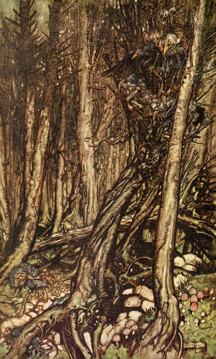 Undine, Friedrich de la Motte Fouqué by Arthur Rackham