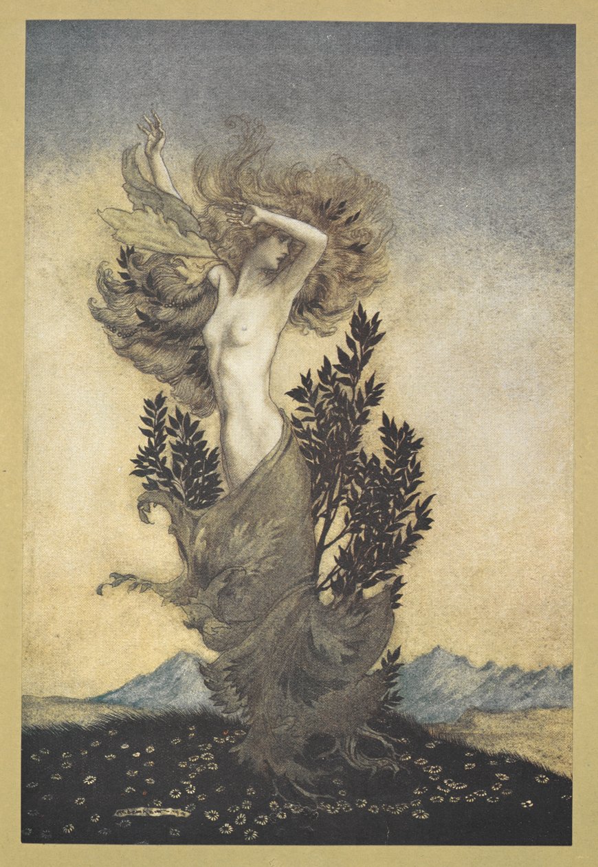 ... Daphne'nin Apollon'dan kaçan kökleri bağlı olduğu gibi'. by Arthur Rackham