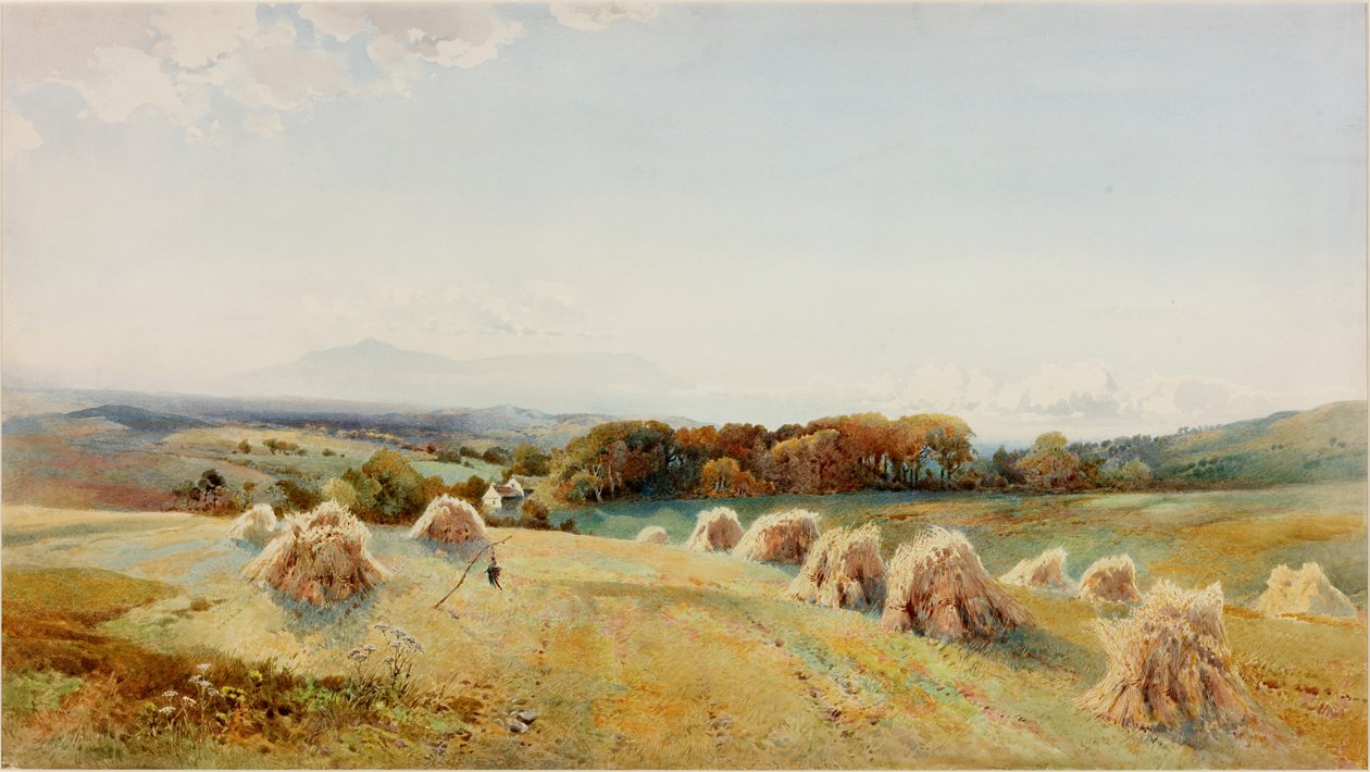 A Harvestfield, Windermere (gövde rengi, kalem ve kağıt üzerinde tuvalet) by Arthur Tucker