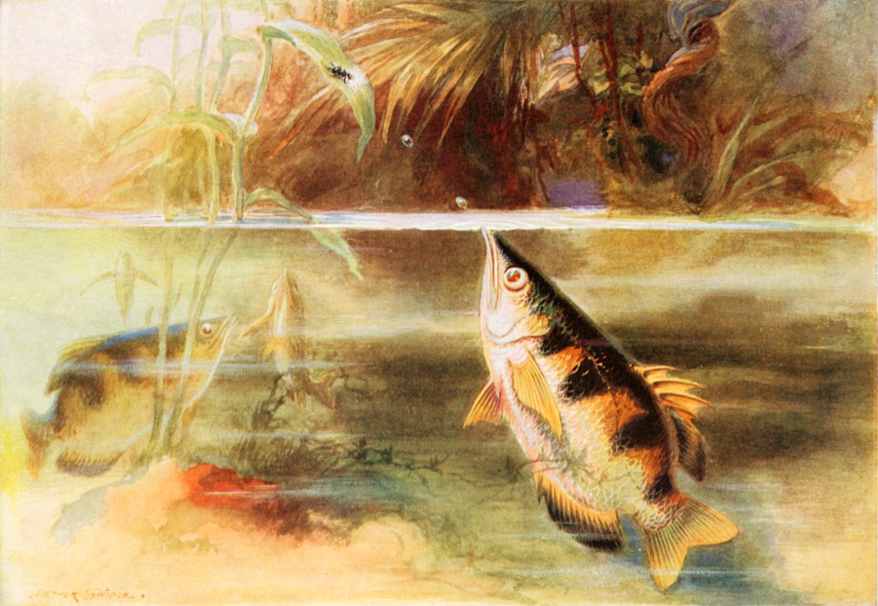  by Arthur Twidle