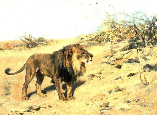 Scrub Arasında Bir Aslan by Arthur Wardle