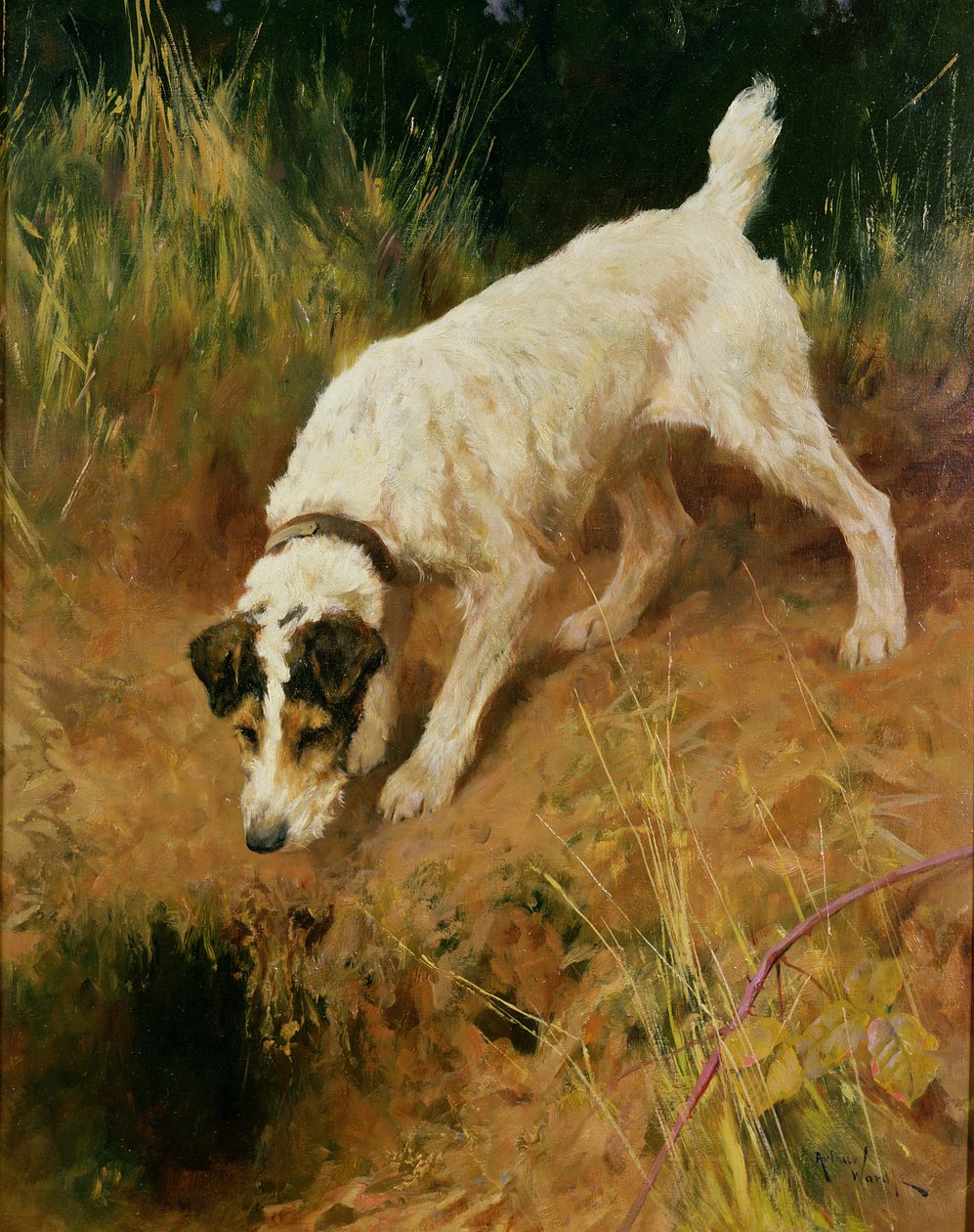 tilki korkunç by Arthur Wardle