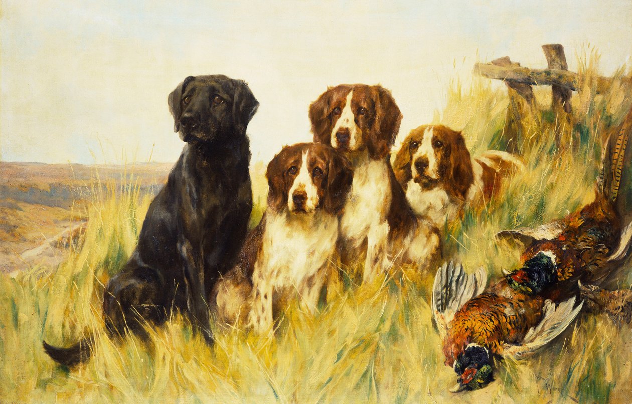 İleriye Bakmak (tuval üzerine yağlı boya) by Arthur Wardle