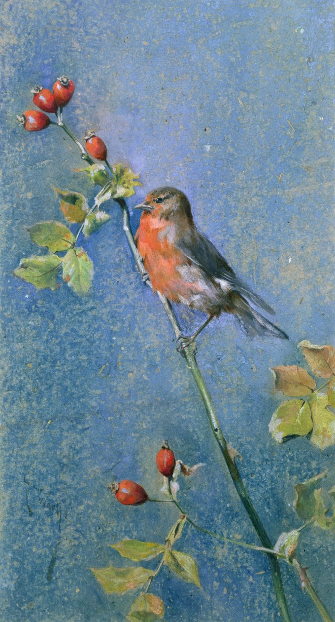 Daldaki Robin by Arthur Wardle