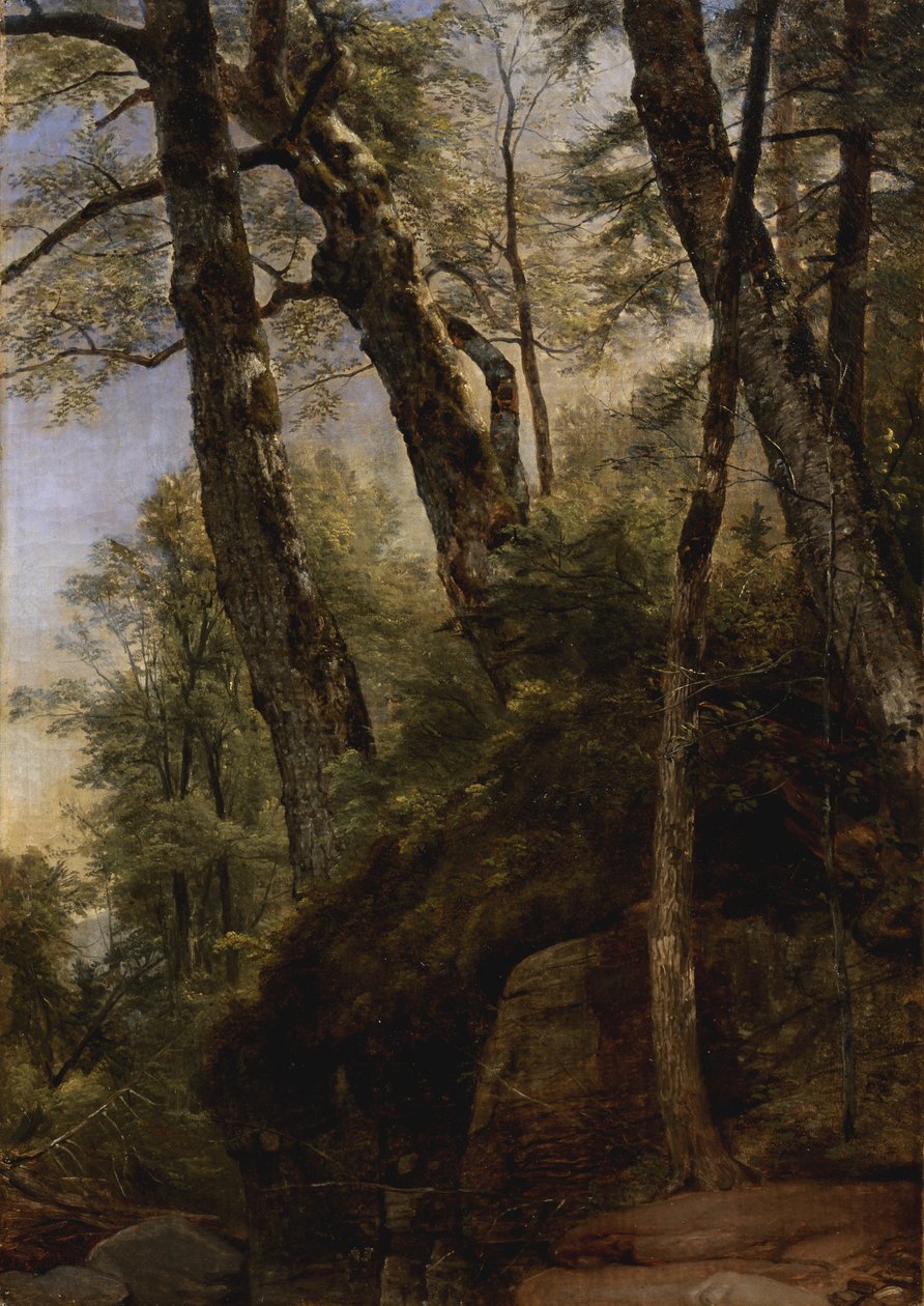 Kara Huş Ağacı, Catskill Dağları, 1860 by Asher Brown Durand