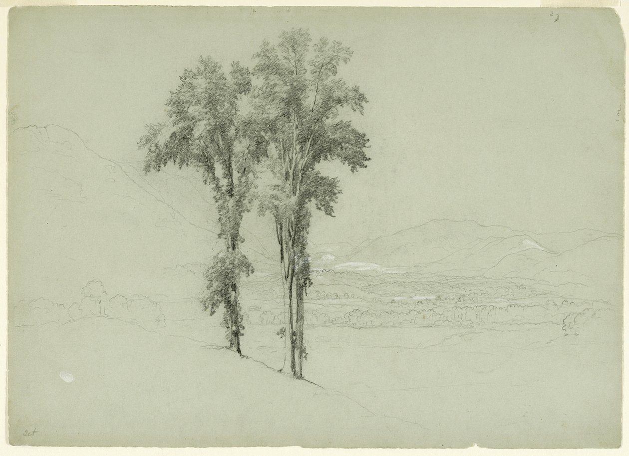 İki Ağaçlı Dağlık Manzara, 1851 (gri-yeşil kağıt üzerine grafit ve beyaz guaj; grafit) by Asher Brown Durand