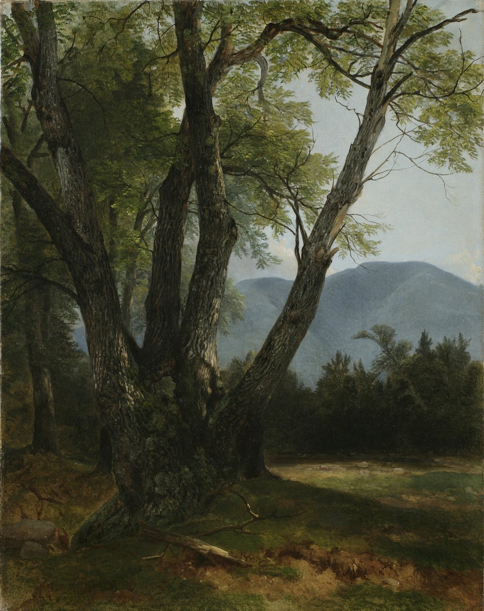 Shandaken, Ulster İlçesi, New York, 1854 by Asher Brown Durand