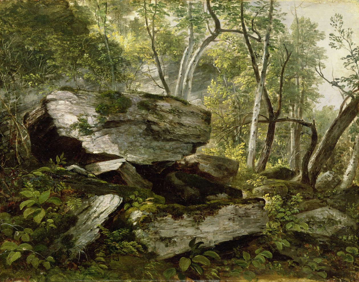 Doğadan Çalışma: Kayalar ve Ağaçlar, c.1856 by Asher Brown Durand