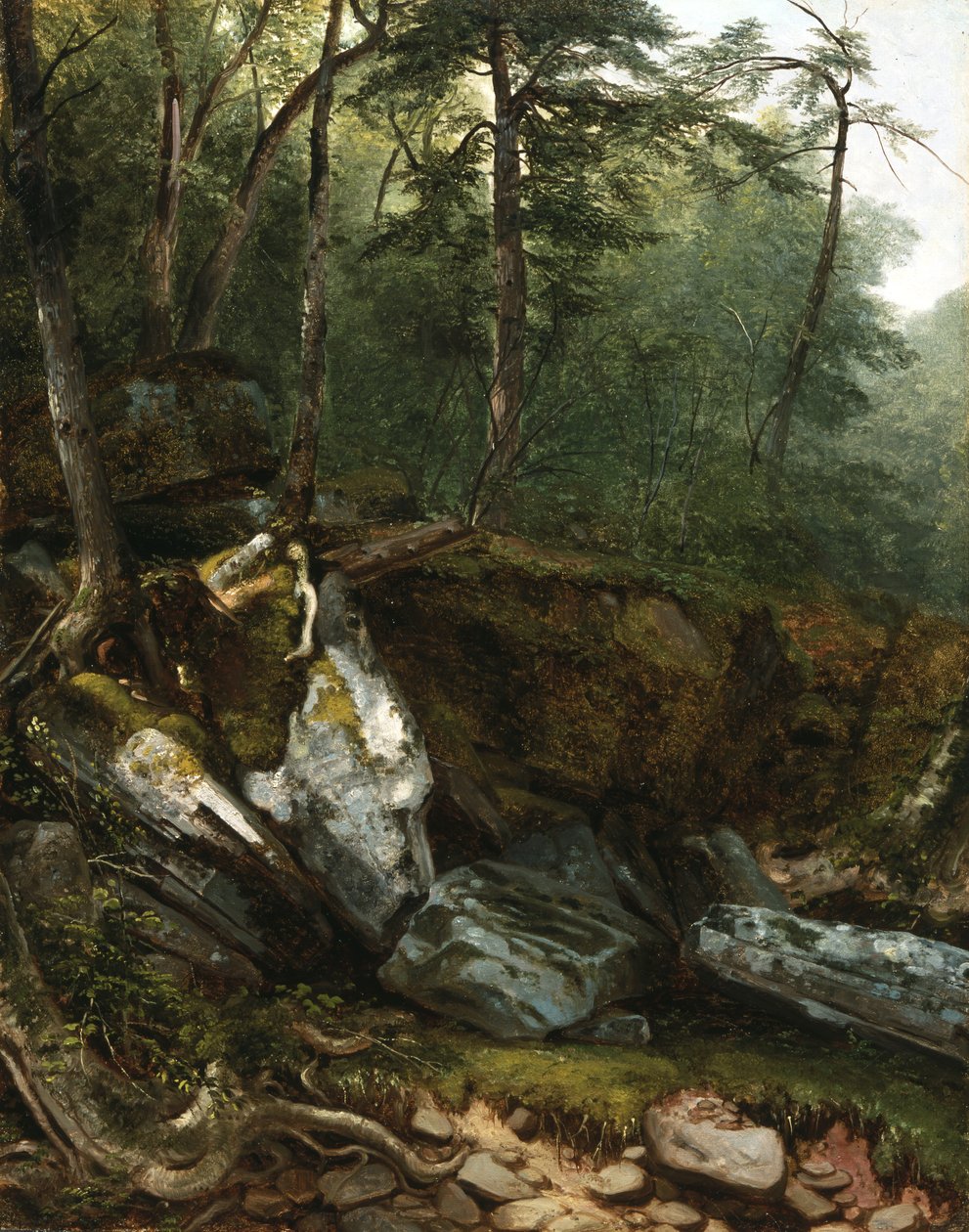 Doğadan Çalışma: Catskills