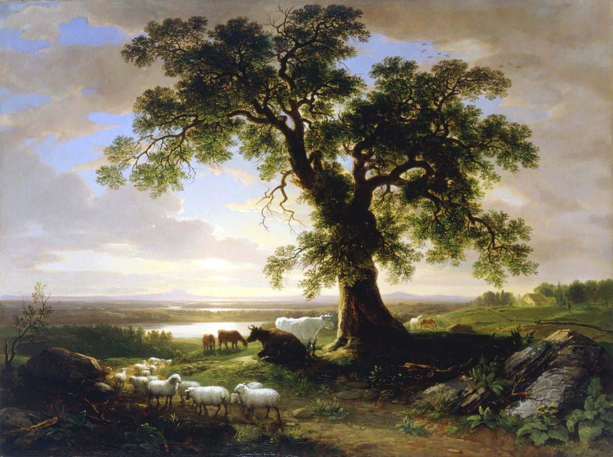 Yalnız Meşe Yaşlı Meşe, 1844 by Asher Brown Durand