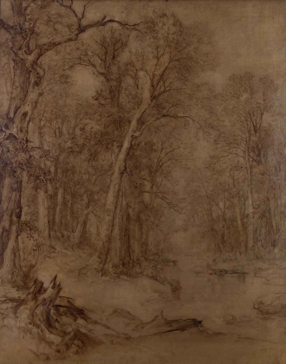 Woodland Brook, ön çalışma, 1859 (tuval üzerine sepya yağlı boya) by Asher Brown Durand