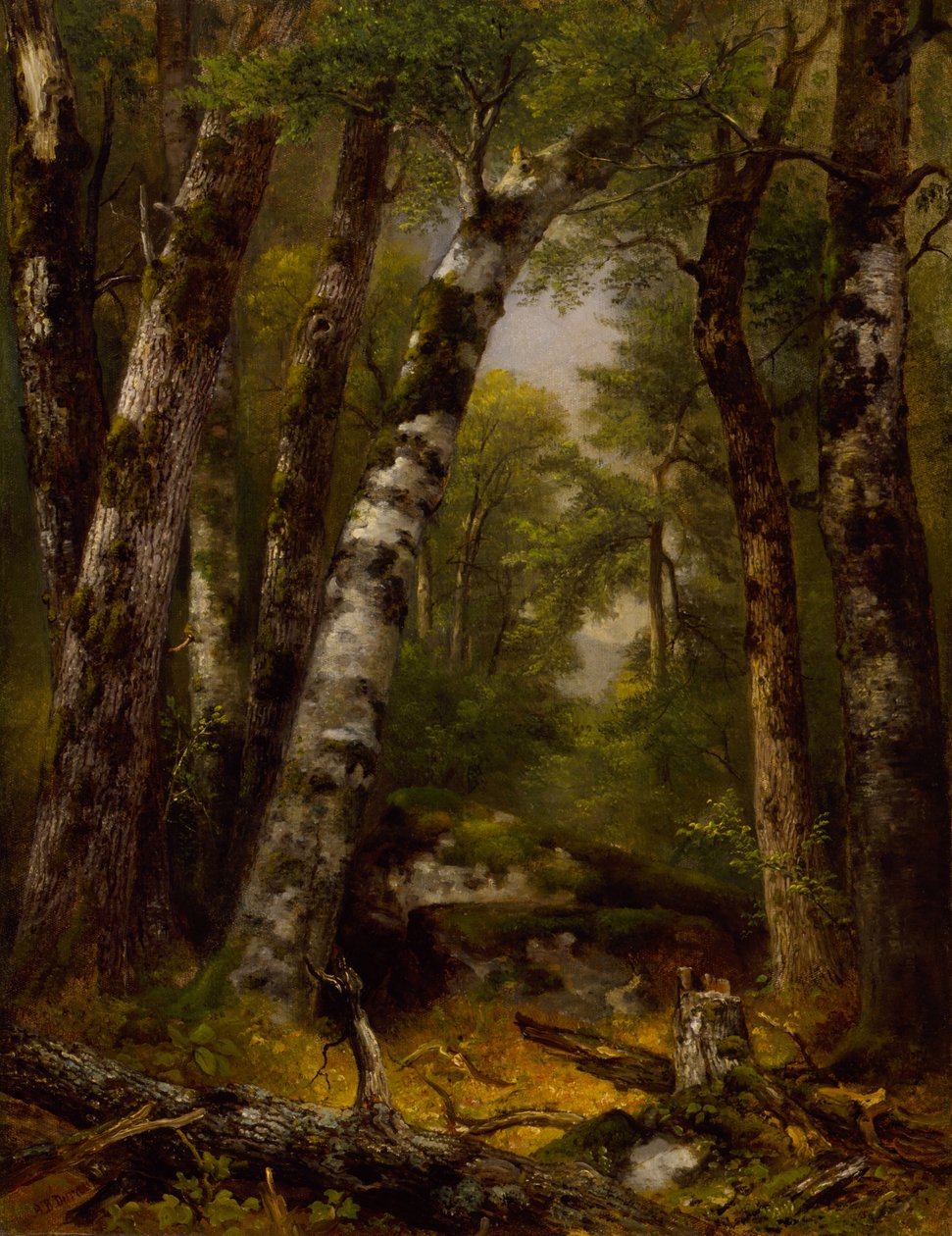  by Asher B. Durand