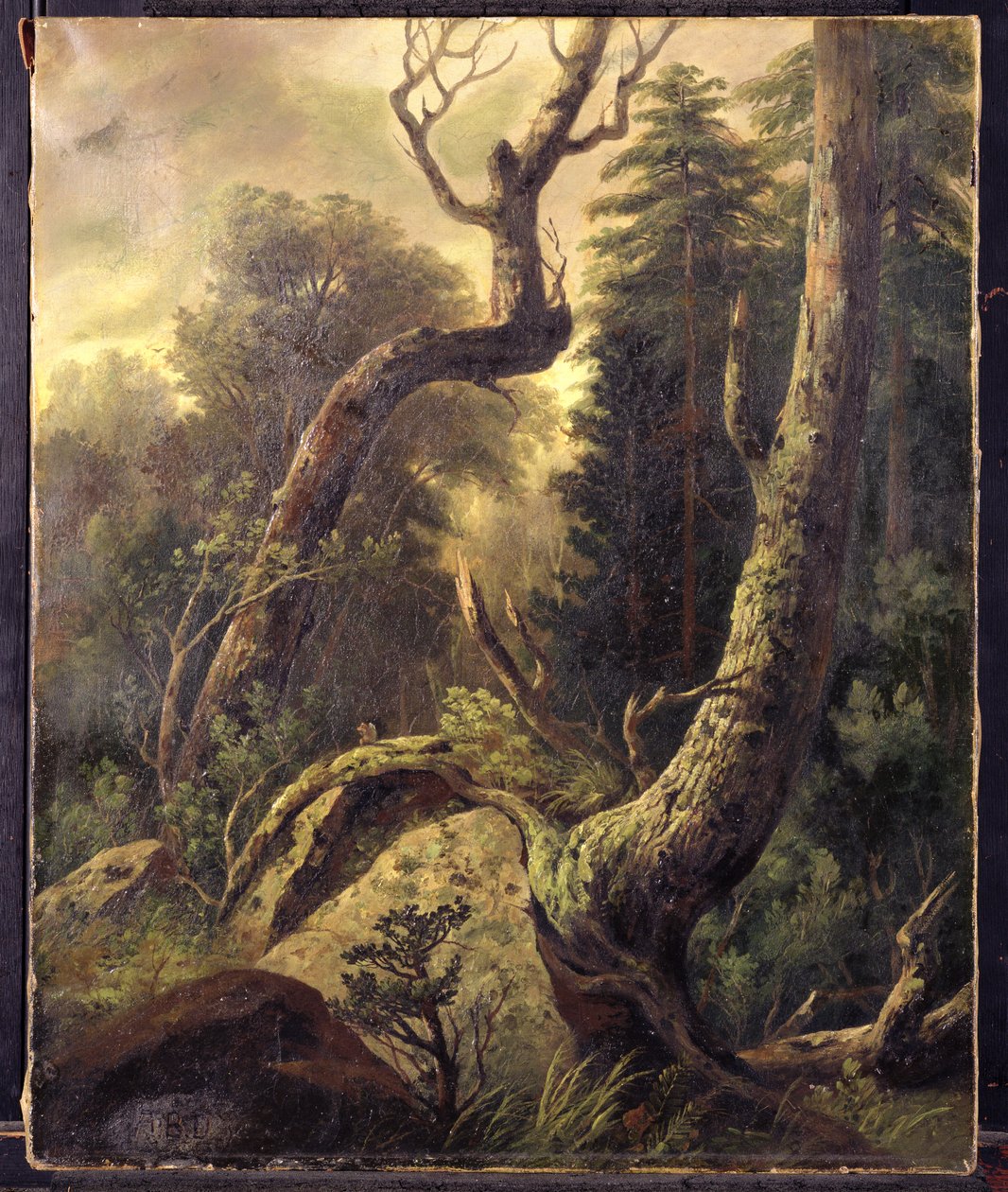 Orman Manzarası by Asher Brown Durand