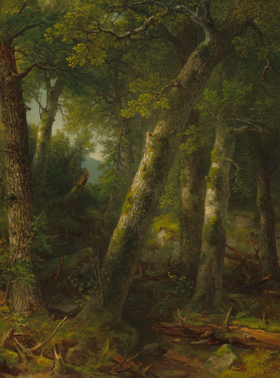 Sabah Işığında Orman by Asher Brown Durand