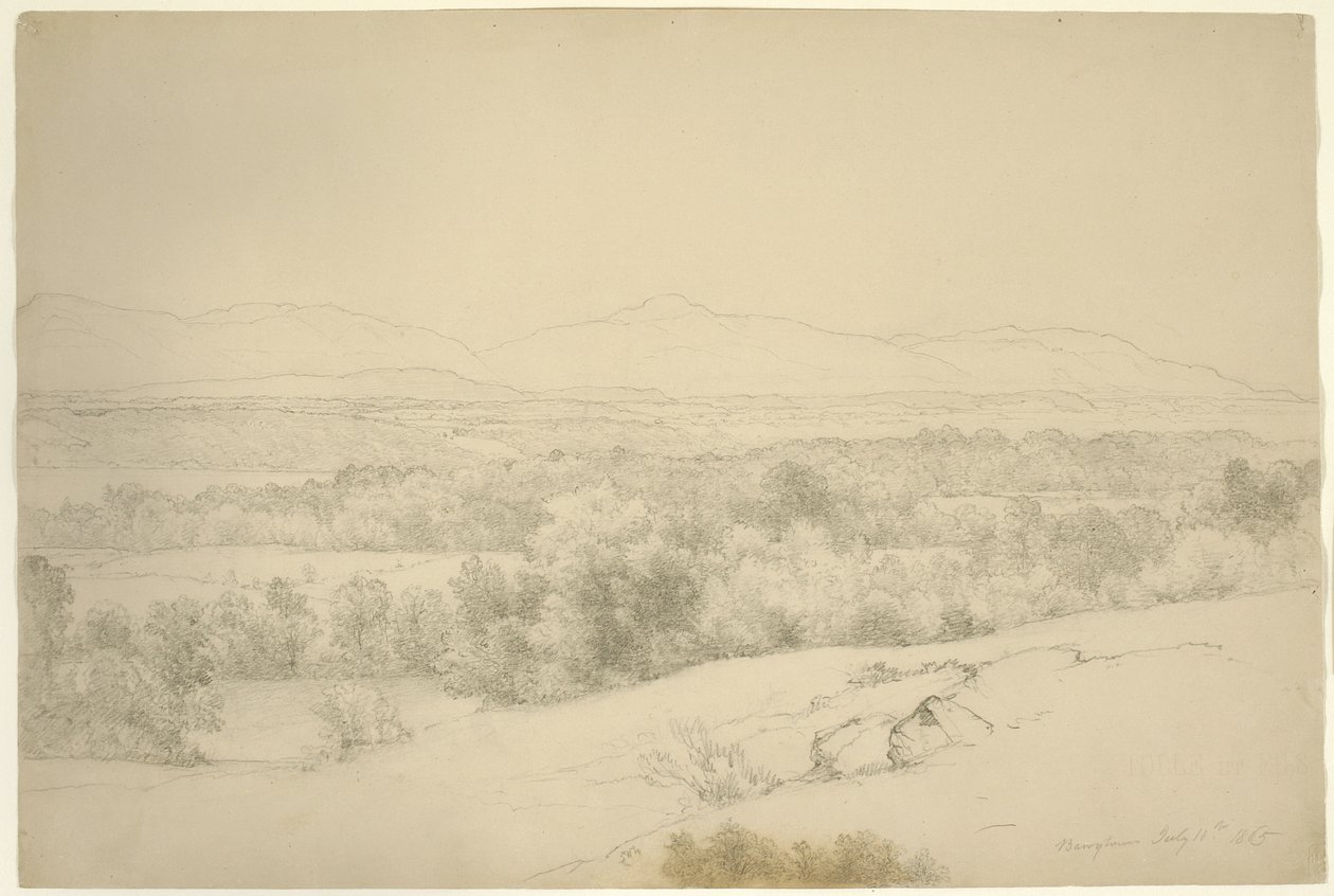 Manzara, Barrytown, New York, 1865 (kahverengi kağıt üzerinde kütükler olan grafit) by Asher Brown Durand