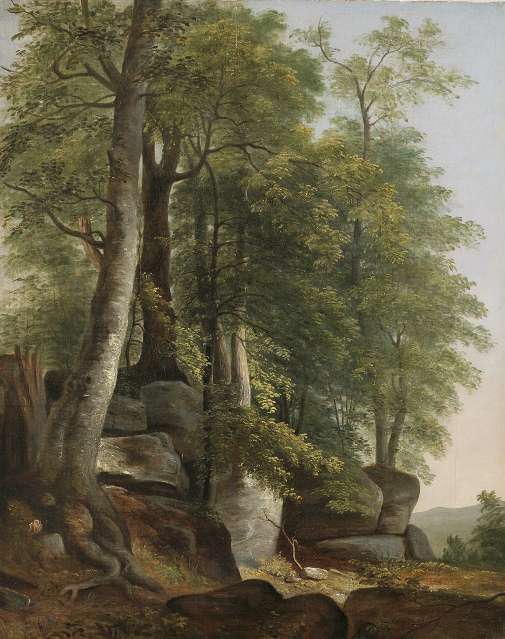 Kayalar ve Ağaçlar ile Manzara, 1845 dolayları by Asher Brown Durand