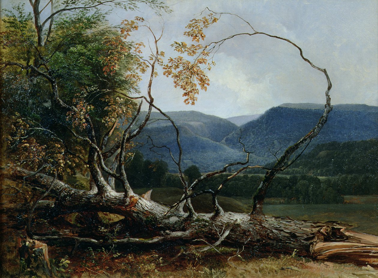 Stratton Çentik, Vermont by Asher Brown Durand