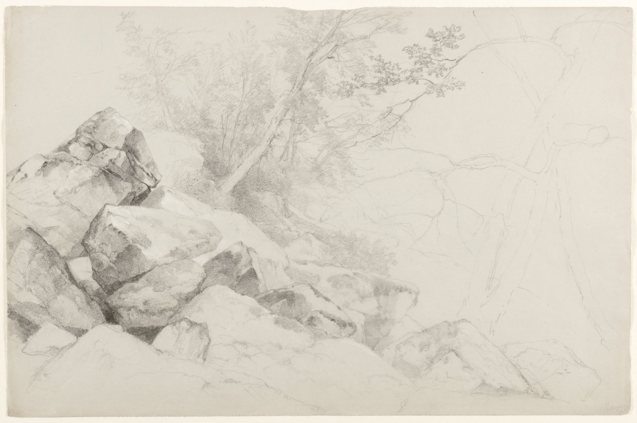 Ağaçlarla Kayaların Çalışması, Lahey, George Gölü, New York, 1862 (gri kağıt üzerinde grafit) by Asher Brown Durand